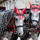 Rotkäppchen.........Gehören zum - Wiener Stadtbild -