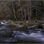 « Rotkäppchens Wald »