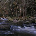 « Rotkäppchens Wald »