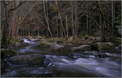 « Rotkäppchens Wald »