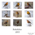 Rotkehlchen 2015