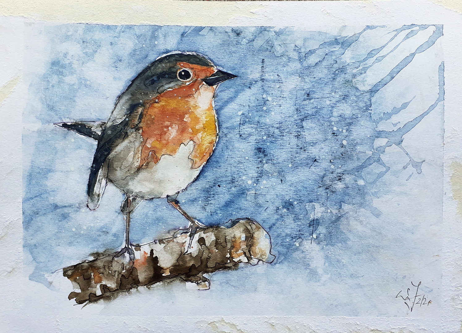 Rotkehlchen (Erithacus rubecula aquarellix ) 