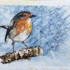 Rotkehlchen (Erithacus rubecula aquarellix ) 