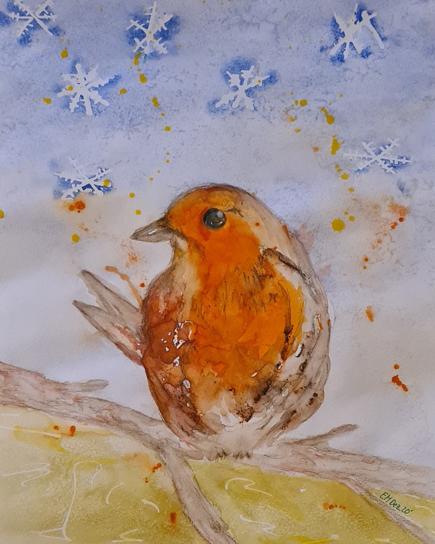 Rotkehlchen European Robin (Erithacus rubecula) Aquarell Papier 30x 40 cm