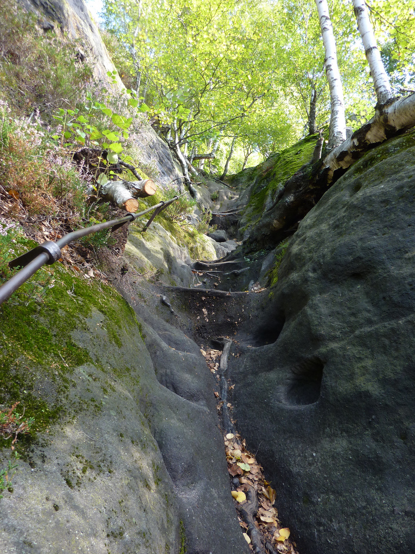 Rotkehlchenstiege