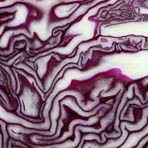 Rotkohl (2)