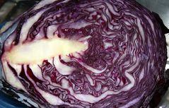 Rotkohl