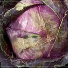 Rotkohl