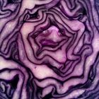 Rotkohl