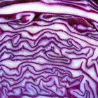 Rotkohl