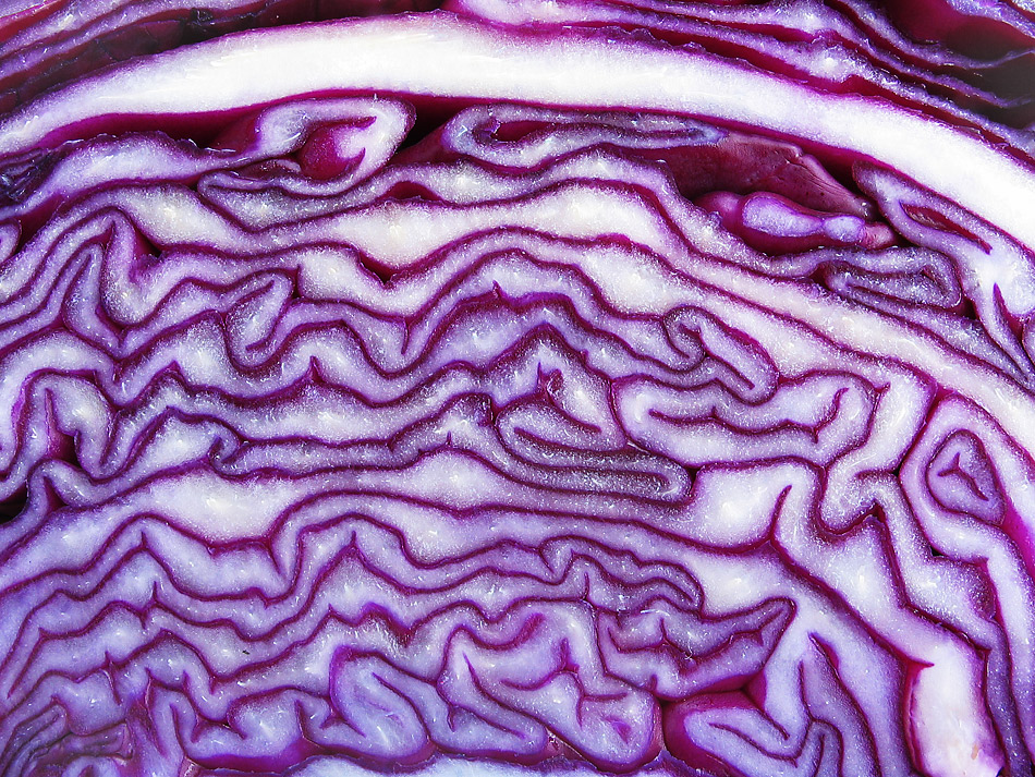 Rotkohl