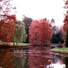 Rotlicht im Park am Abend  