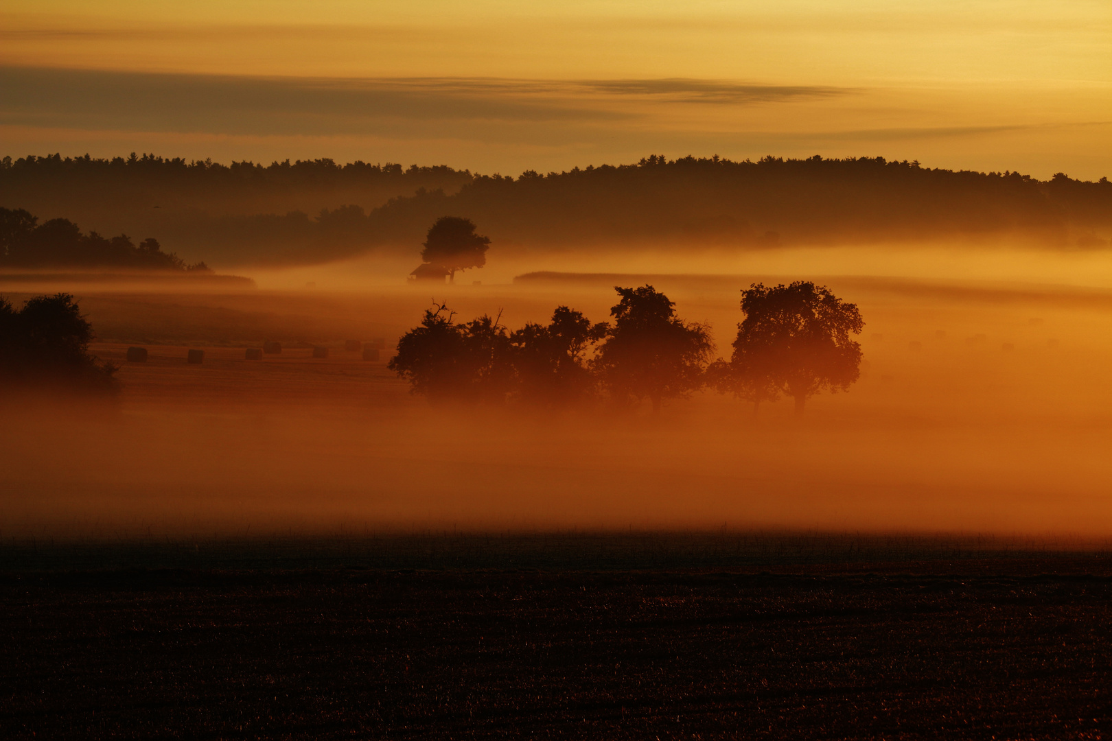 ROTNEBELMORGEN im August/ 1