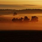 ROTNEBELMORGEN im August/ 1