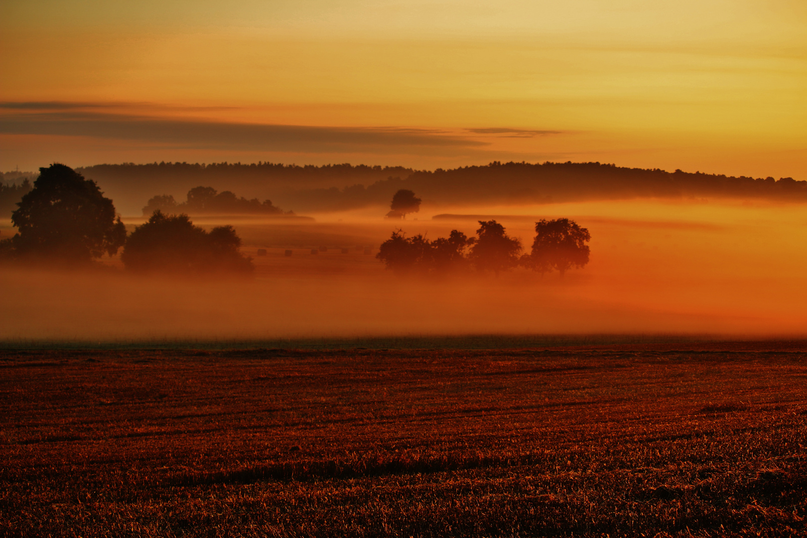 ROTNEBELMORGEN im August/ 3