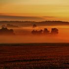 ROTNEBELMORGEN im August/ 3