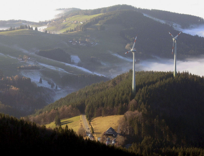 Rotoren auf der Holzschlägermatte