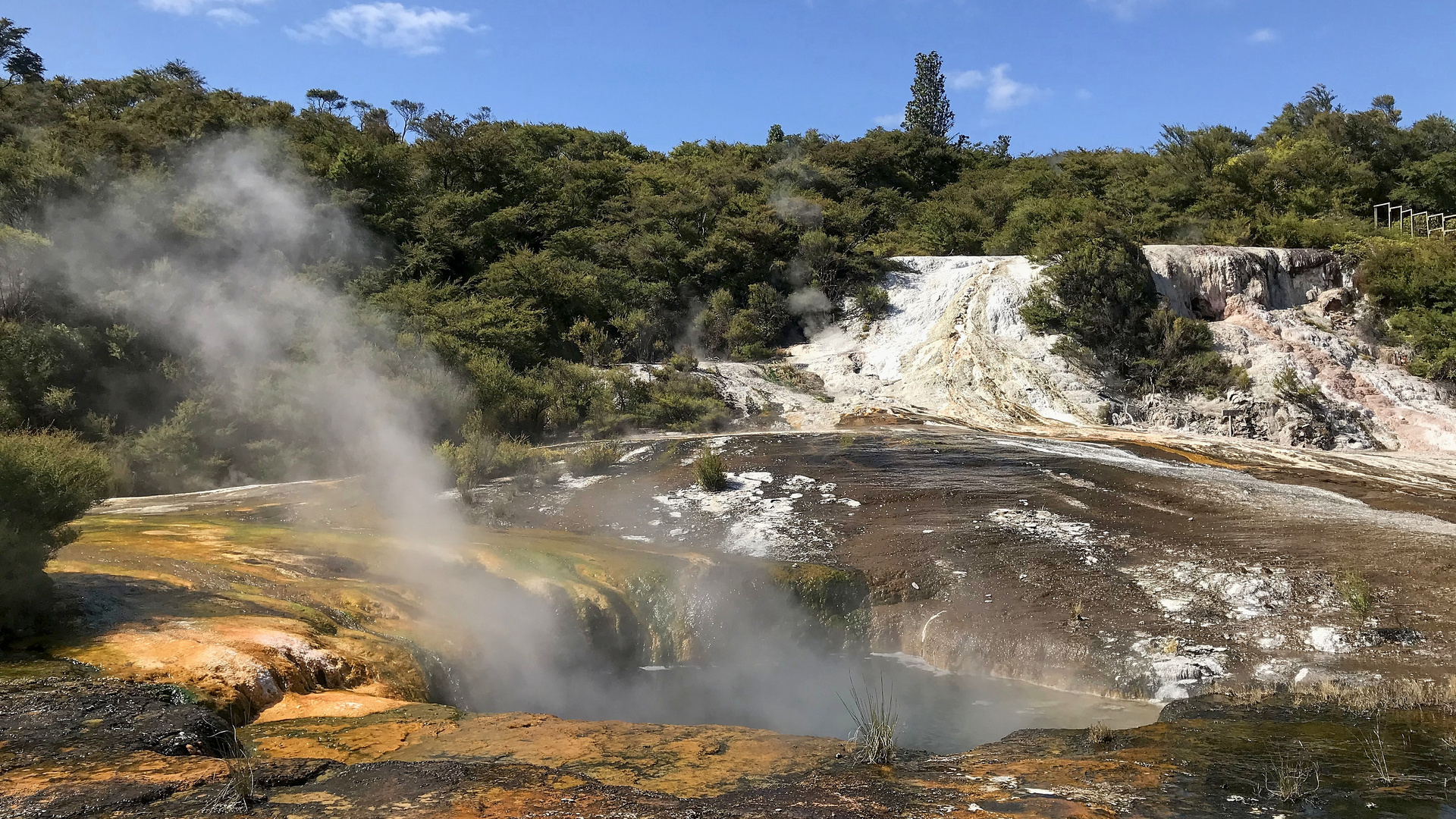 Rotorua