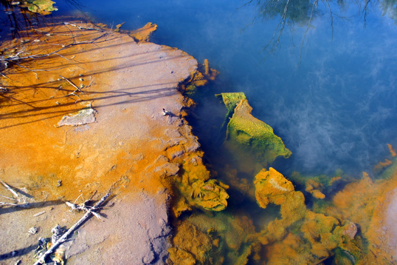 Rotorua