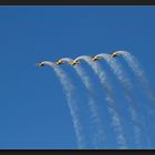 Rotorua - Flugshow