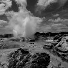 Rotorua - Geysir