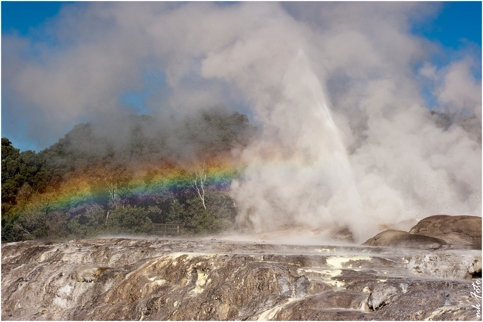 Rotorua Geysir