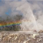 Rotorua Geysir