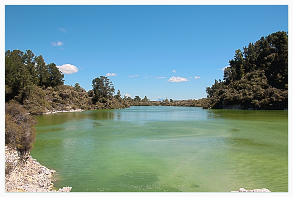 Rotorua II - Neuseeland