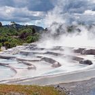 Rotorua - Sulphur Sinter Terraces