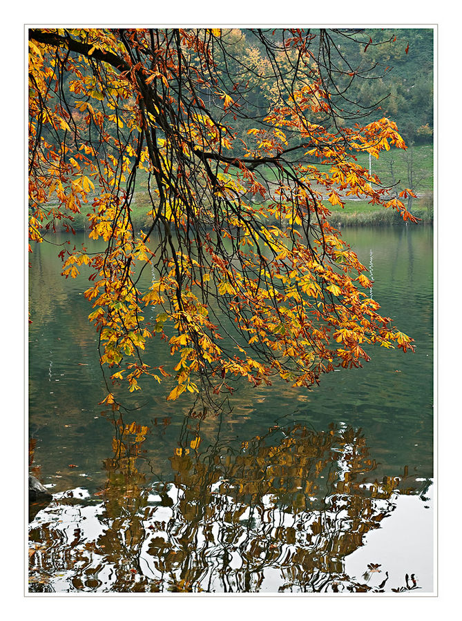 Rotsee im Herbst