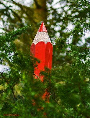 Rotstift im Wald