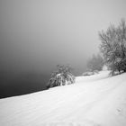 Rottachsee im Winter