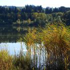 Rottachspeicher-Ufer zum Dienstag gespiegelt