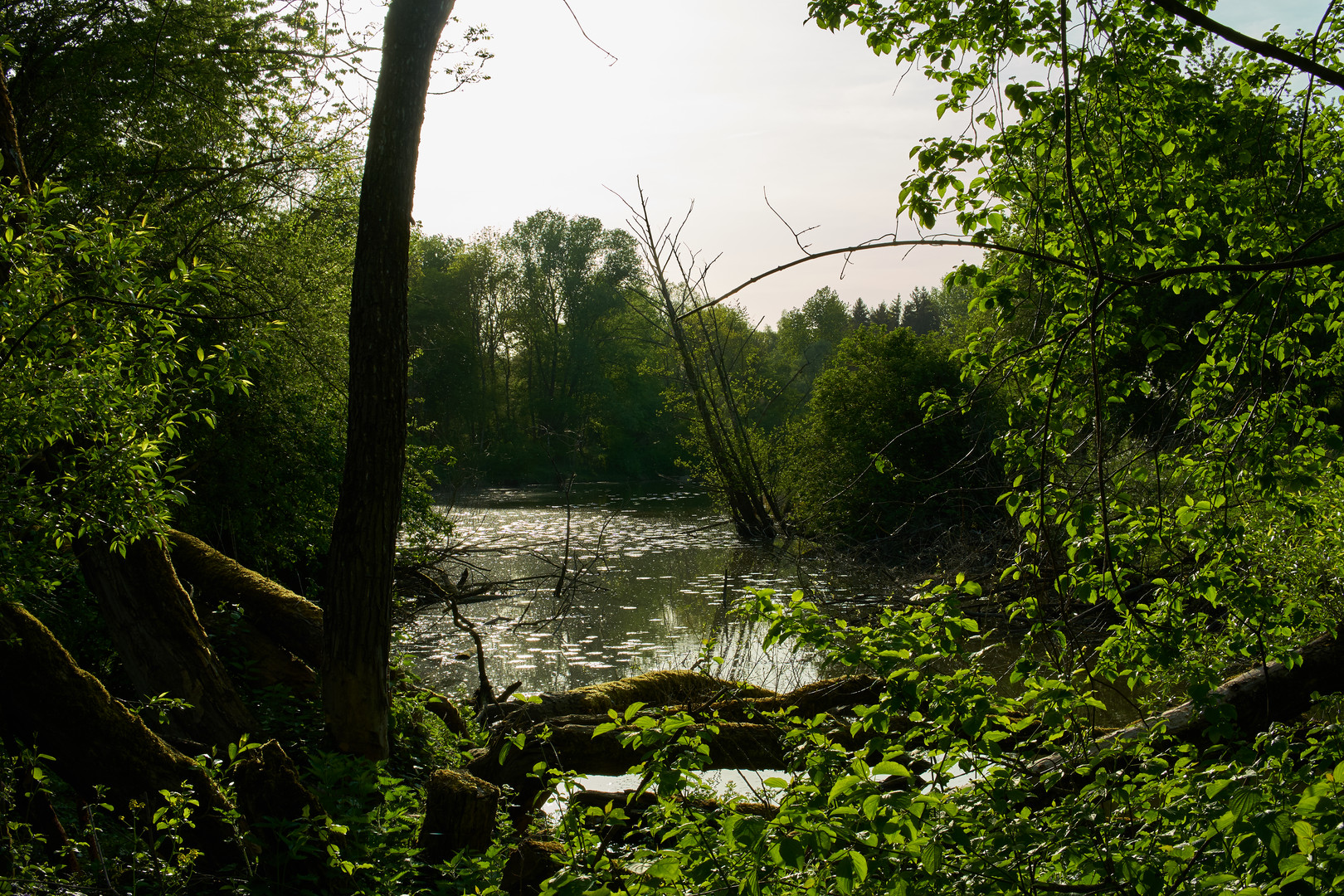 Rottal Natur Bad Birnbach