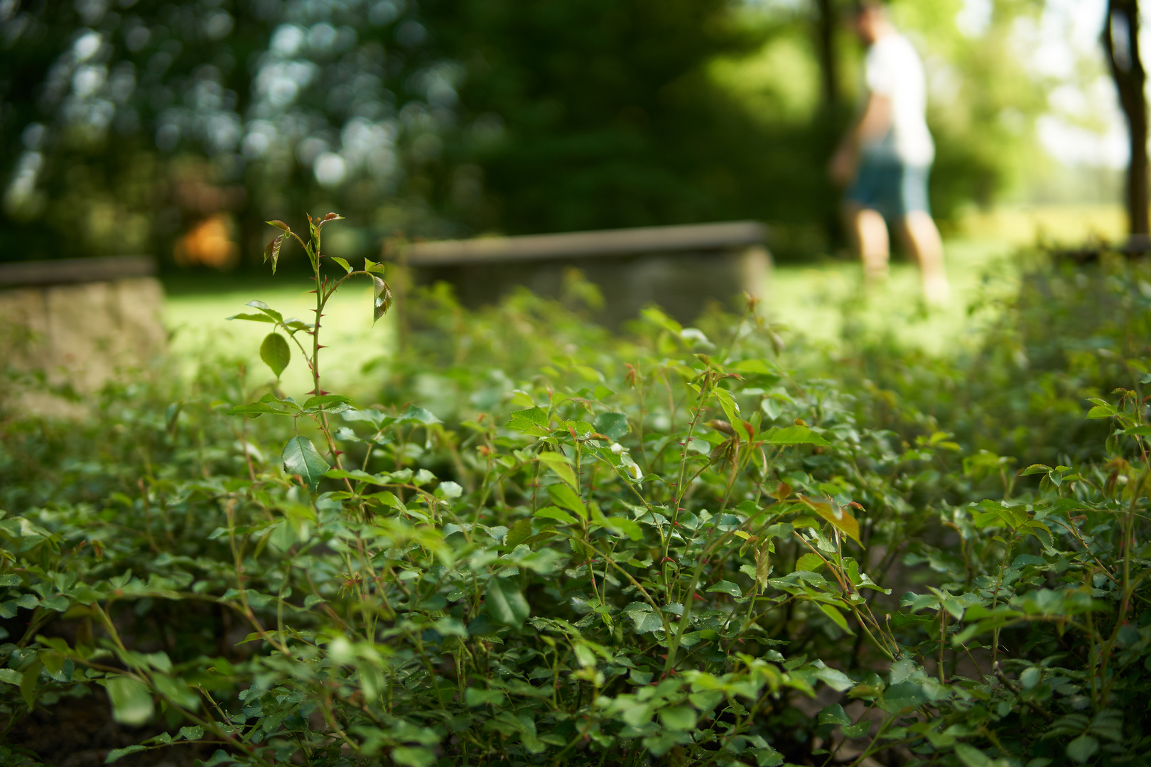 Rottal Natur Bad Birnbach