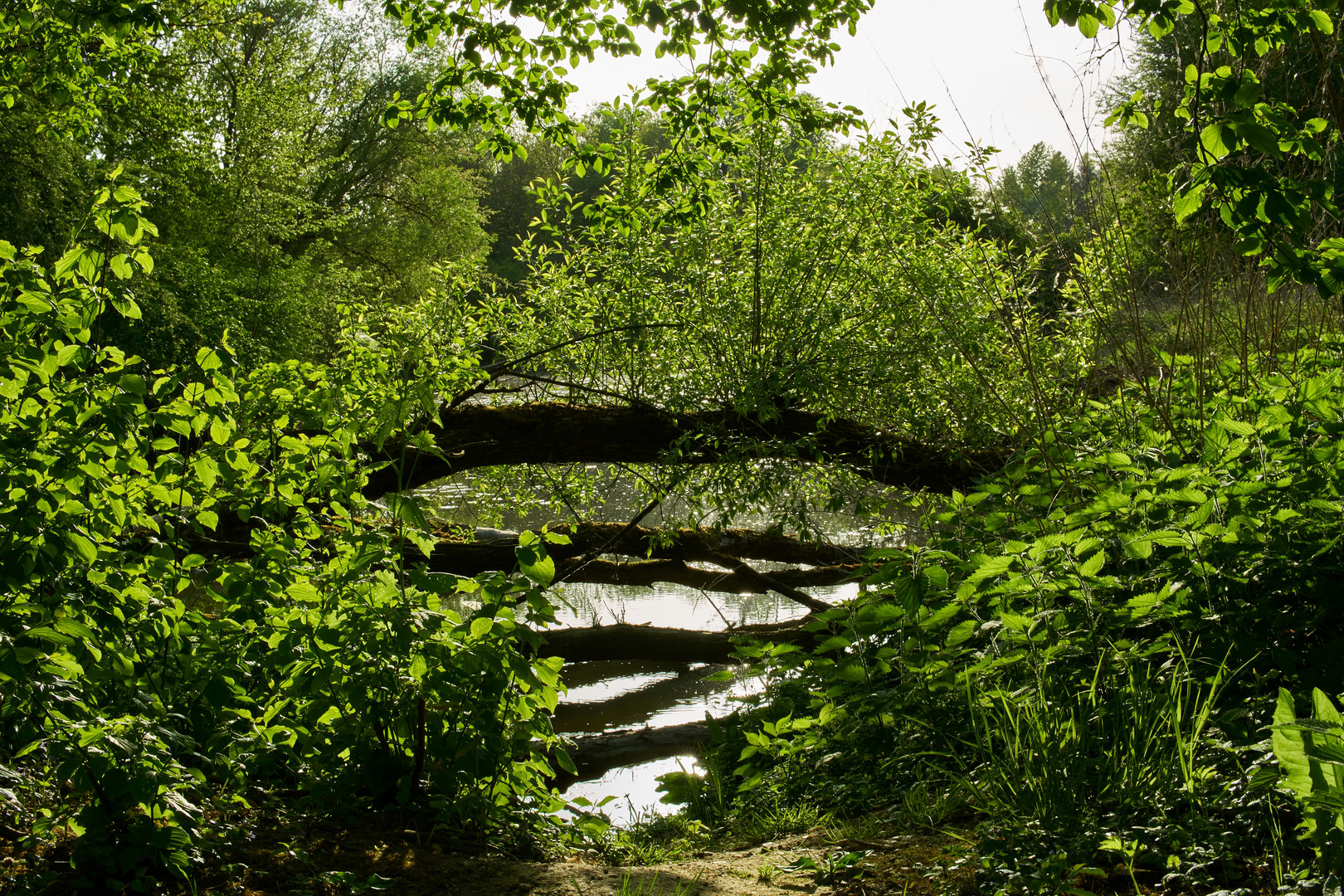 Rottal Natur Bad Birnbach