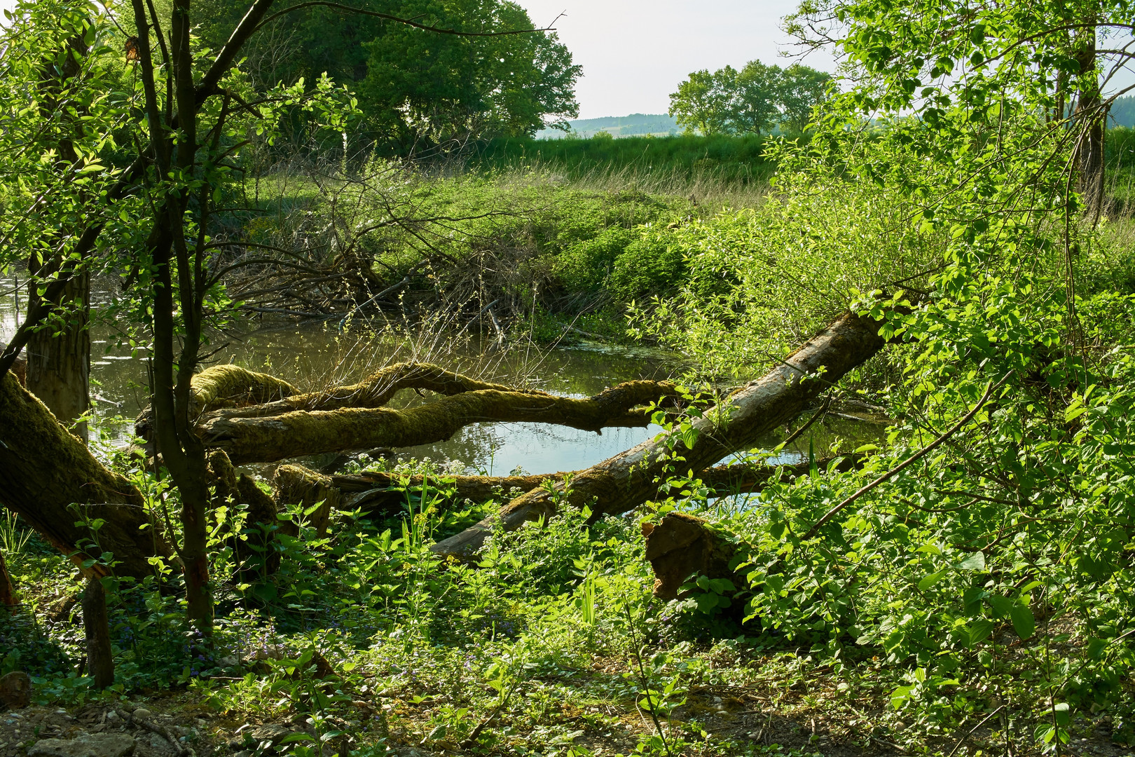 Rottal Natur Bad Birnbach