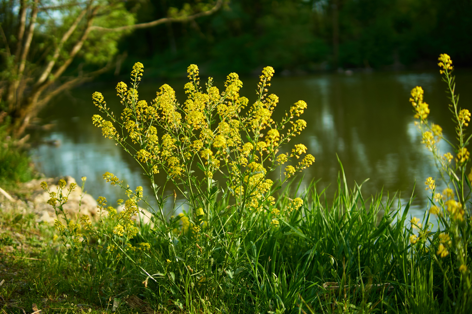 Rottal Natur Bad Birnbach