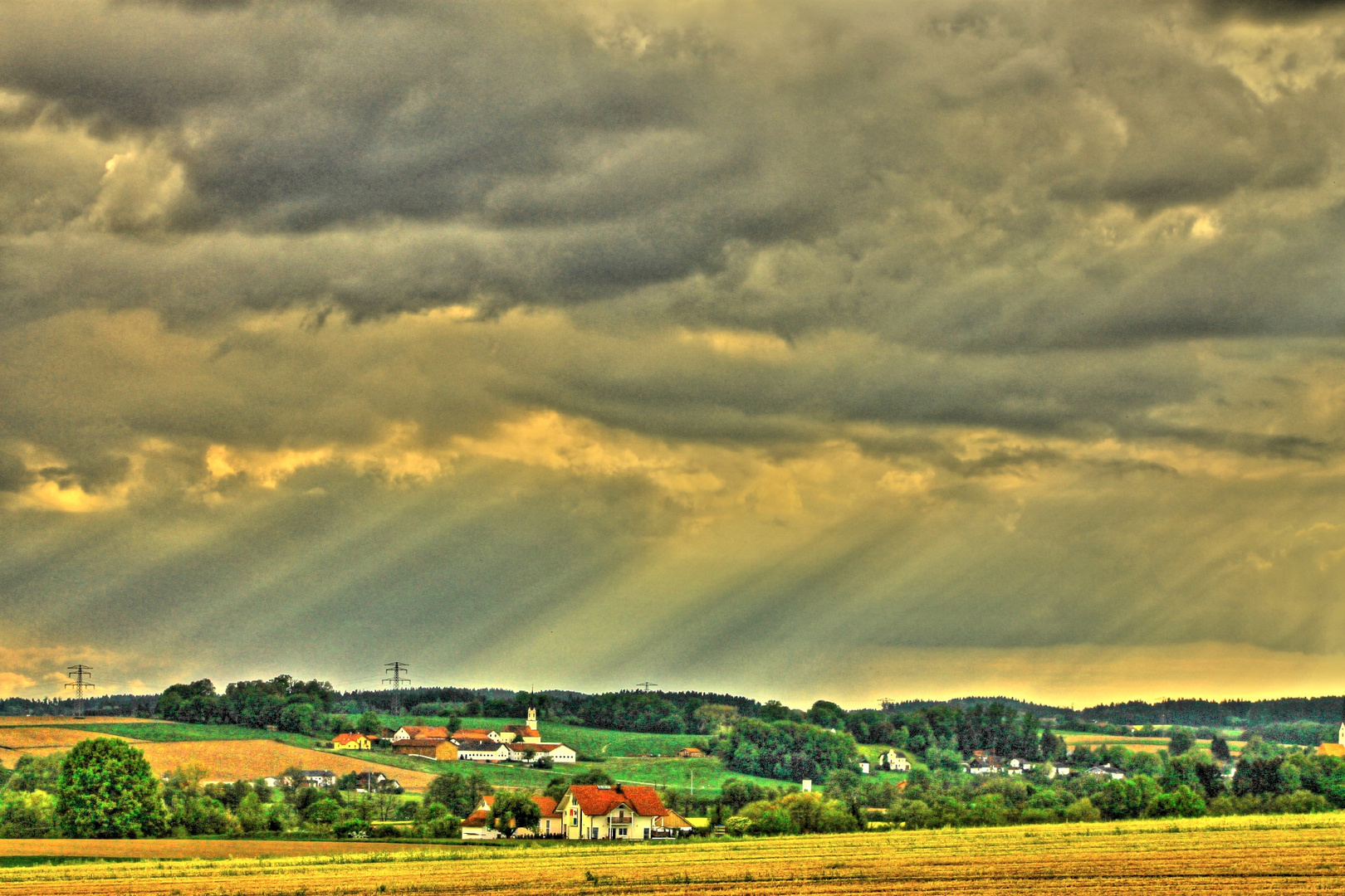 Rottaler - Frühling