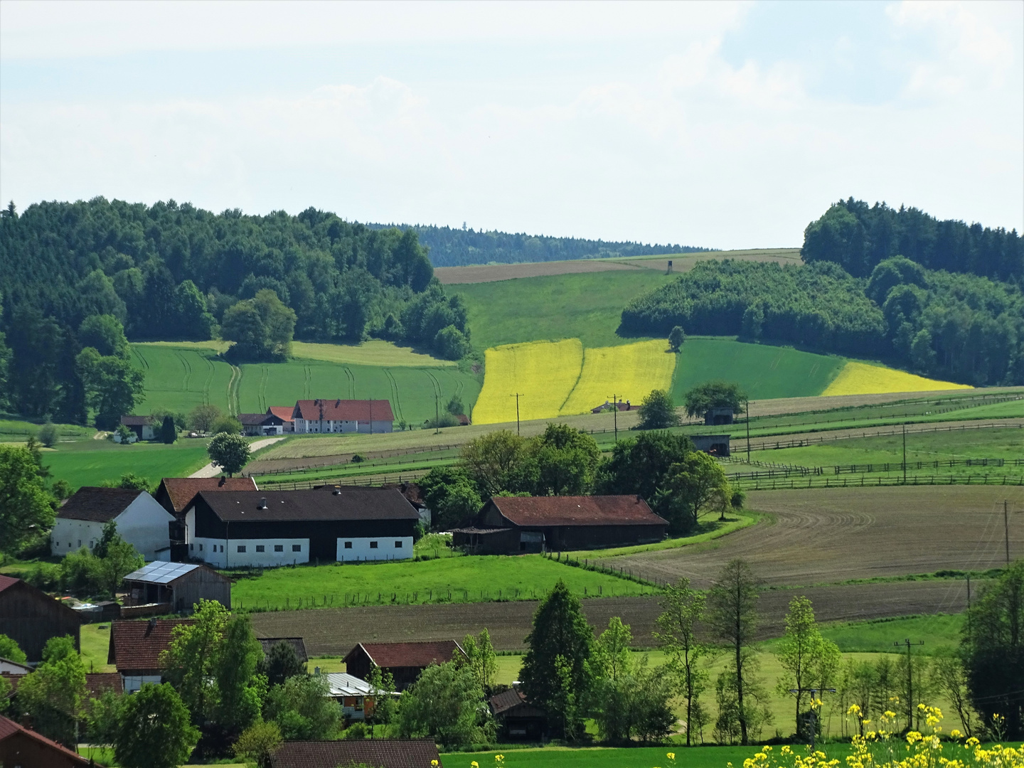 Rottaler Landschaft