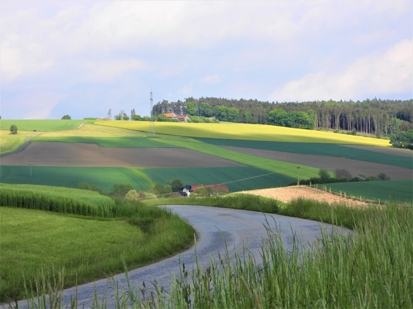 Rottaler Landschaft im Mai