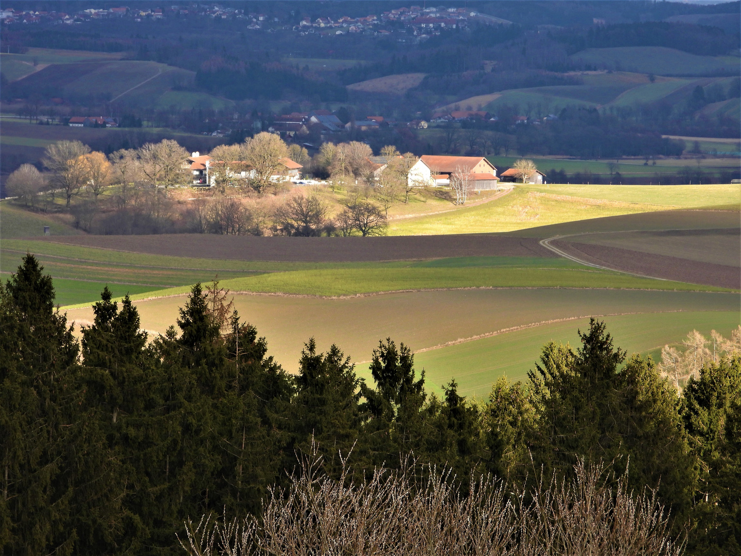 Rottaler-Landschaften-Nadia-Baumgart