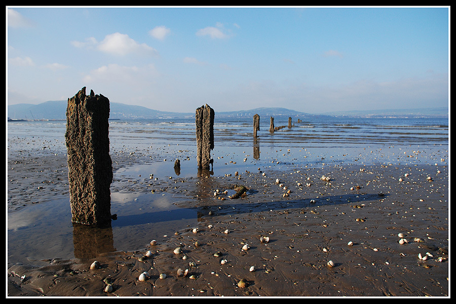 Rotted posts