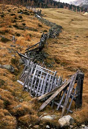 Rotten Fence