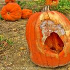 ROTTEN PUMPKINS