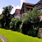 Rottenburger Stadtgraben im Gegenlicht