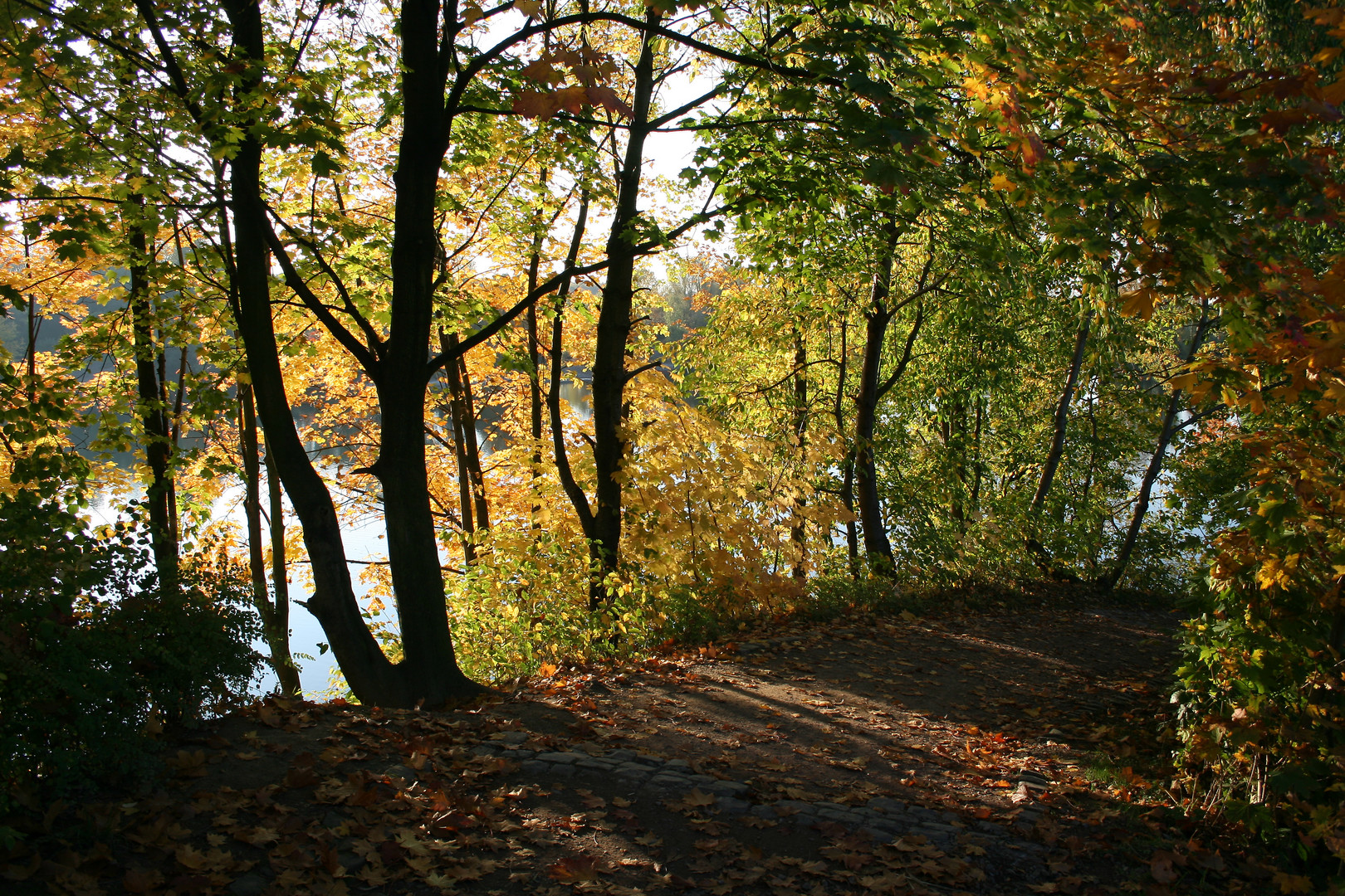 Rotter See