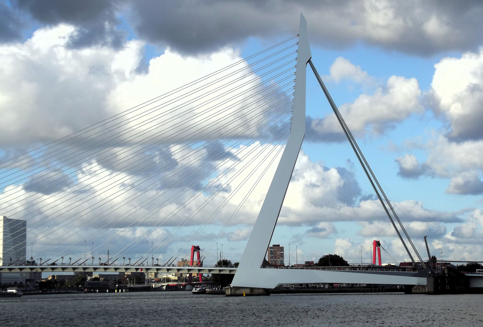 - ROTTERDAM -