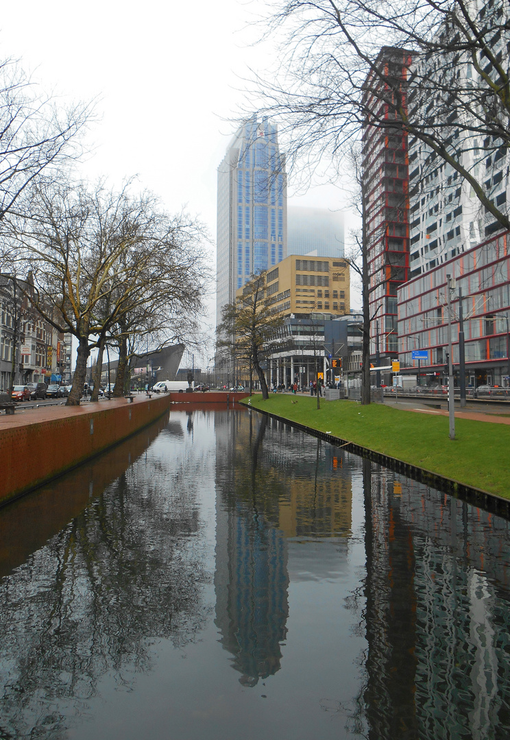 Rotterdam -1