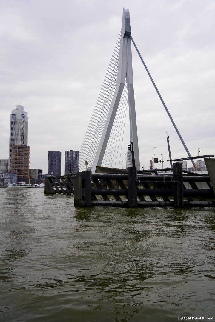 Rotterdam # 10